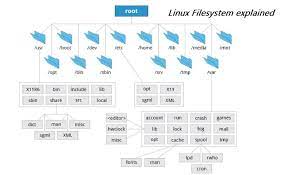 What Is Linux File System Unix Linux File System Basics Explained Filing System Linux Linux Operating System