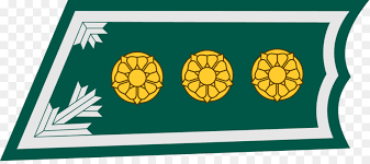 Free Free 315 Flower Svg Wiki SVG PNG EPS DXF File