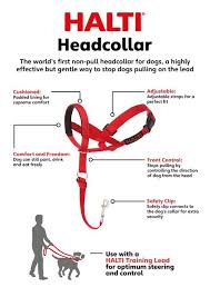 Halti Headcollar Red Size 3 Check Out This Great Product