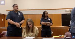 Anna sorokin in court on thursday. Deutsches Partygirl Anna Sorokin Landet Im New Yorker Knast Timschafermedia