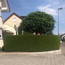 Gärten in mössingen und umgebung suchen und finden. Media 66 Home Facebook