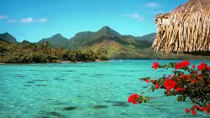 Pay is $30 plus breakfast. Desktop Background Tropical Beach Background Tropical Beach Screen Wallpapers13 Com