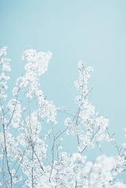 I Love These Colors Light Blue Aesthetic Blue Aesthetic Pastel Blue Aesthetic