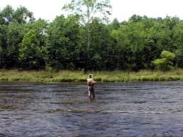 Fly Fishing On The South Holston River In Tennessee