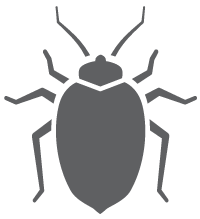 Instead, they migrate by climbing into your suitcase when you stay at a hotel, or they can crawl onto your clothes while you are at the movies. Bed Bug Payment Plans Clegg S Pest Control