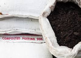 We did not find results for: What Is The Difference Between Potting Soil And Garden Soil Hgtv