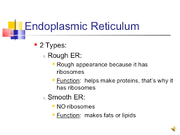 The organelle called 'endoplasmic reticulum' occurs in both plants and animals and is a very important manufacturing site for lipids (fats) and many proteins. Cell Structures And Functions