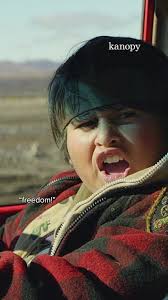 Hunt for The Wilderpeople Analysis