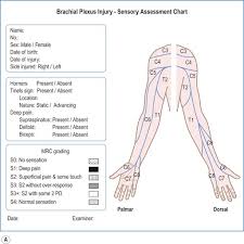 Clinical Examination And Diagnosis Obgyn Key