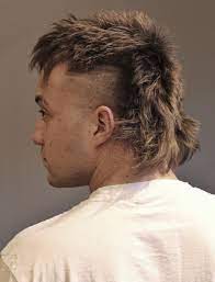 Marlin mullet lives in eureka, mo; 100 Trending Haircuts For Men Haircuts For 2021 Haircut Inspiration Thin Hair Men Mullet Haircut Mullet Hairstyle