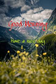 Good morning quotes in hindi with images flowers. 100 Good Morning Nature Images Hd Quotes Wishes 2021 Collection