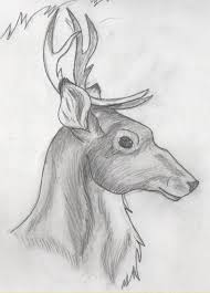 Drawing Of A Reindeer Google Search Animal Sketches Pencil Drawings Of Animals Animal Drawings