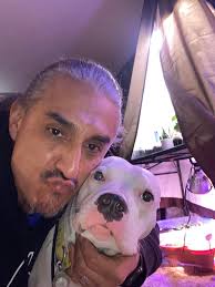 Found calico cat in Lockwood, Billings, MT