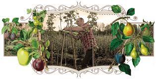 We can hardly keep up with that demand! Buy Fruit Trees Online Nationwide Delivery Heritage Fruit Tree Nursery
