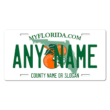 The full list can be found on the state dmv site. Florida Replica State License Plate For Bikes Bicycles Atvs Cart Walkers Motorcycles Wagons And Vehicles Version 2