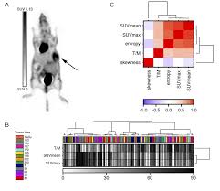 However, it is not a perfect Systematic Analysis Of 18 F Fdg Pet And Metabolism Proliferation And Hypoxia Markers For Classification Of Head And Neck Tumors Bmc Cancer Full Text