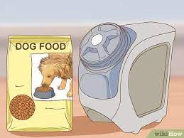 3 Ways To Keep Birds Away From Dog Food Wikihow
