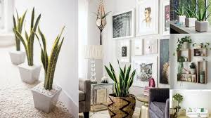 Interior design & home decor. 6 Creative Ways To Include Indoor Plants Into Your Home Decor
