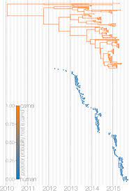 This since he was a boy. Mers Cov Spillover At The Camel Human Interface Biorxiv