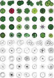 Landscape Design Symbols Trees Top View Vector Colour And Outline Landscape Design Drawings Trees Top View Landscape Design