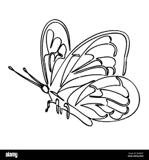 Butterfly in flight isolated on white background. Drawn in one continuous  line. Isolated stock vector illustration Stock Vector Image & Art - Alamy