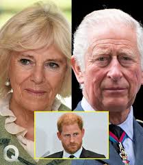 Unnecessary stress: Queen Camilla discouraged King Charles from mee...see  details