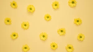 Yellow Happy Daisy Floral Macbook Desktop And Laptop Wallpaper Background Aesthetic In 2020 Laptop Wallpaper Desktop Wallpapers Backgrounds Desktop Wallpaper Macbook