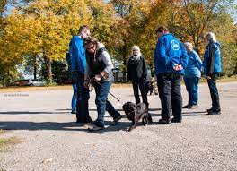 Dabei ist im alter von 14 bis 80 jahren bei uns alles vertreten. Start Hundesportverein Dresden Neustadt