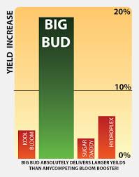 Big Bud Bloom Booster Advanced Nutrients