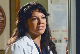 TV's Most Influential LGBTQ Characters — 'Dynasty' 'Ellen' 'Grey's Anatomy'