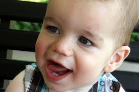 Photography by Laurie Johnson