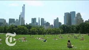 150 years' worth of visitors have enjoyed and recommended central park; 36 Hours In Central Park New York The New York Times Youtube