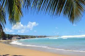 We did not find results for: What We Did In Puerto Rico Puerto Rico Beaches Isabela Puerto Rico Puerto Rico Vacation