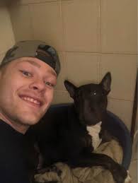 Adrian Guest Dog Walking 2025