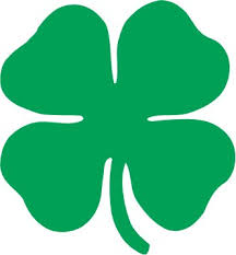 Our employees give us an edge in the marketplace and continue. Wallhogs St Patrick S Day Shamrock Cutout Wall Decal Wayfair