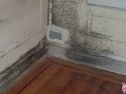 Rutubet Onleyici Boya Kadinlar Kulubu