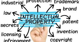 The basic property management program includes: Kanoon Gurus Blog Basic Concepts Of Intellectual Property Management Kanoon Gurus Blog
