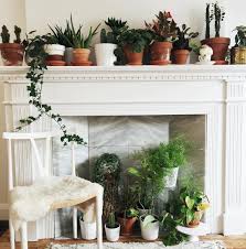 Image Result For Fireplace Plants Fireplace Decor Home Decor Decor