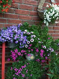 Blumentreppe Garten Blumen Jardim