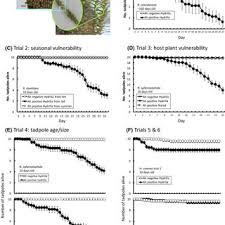 Check spelling or type a new query. Aaetokthonos Hydrillicola A Newly Described Cyanobacteria Growing On Download Scientific Diagram