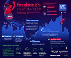 Facebooks Volatile Year In One Giant Chart
