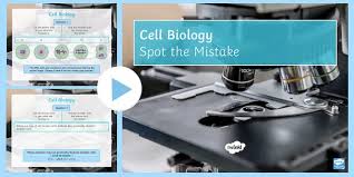 Mitosis read chapter 12 in campbell key terms. Mitosis Vs Meiosis Activity Powerpoint Biology Ks3 Ks4