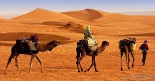 Wht kind of question is this. What Is The Gobi Desert With Pictures