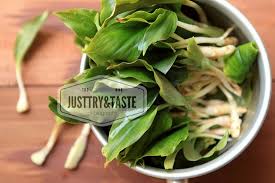 Seluruh bumbunya digiling halus dan ditumis dengan minyak zaitun sehingga lebih sehat. Resep Urap Daun Kencur Just Try Taste