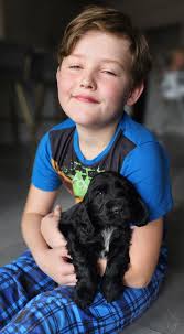 Eastdray Kennels added a new photo.