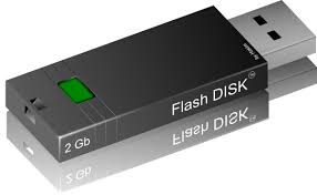 Image result for flash disk