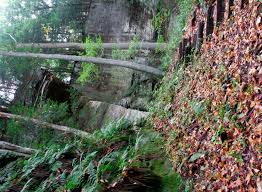 Maybe you would like to learn more about one of these? Cantwell Cliffs At Hocking Hills State Park