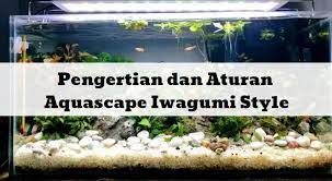 Pengertian Dan Aturan Mengenai Aquascape Iwagumi Style Aquascaping Yunani Kuno Kerohanian