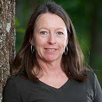 A. Lincoln by Ronald C. White Jr.