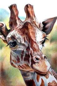 Diamond Painting Kit Sight Giraffe Mosaic Diamonds 3d Diamond Painting Animals Stained Glass Diamond Painting Kit 5d Diamond Embroidery In 2020 Giraffe Art Animal Paintings Animal Art